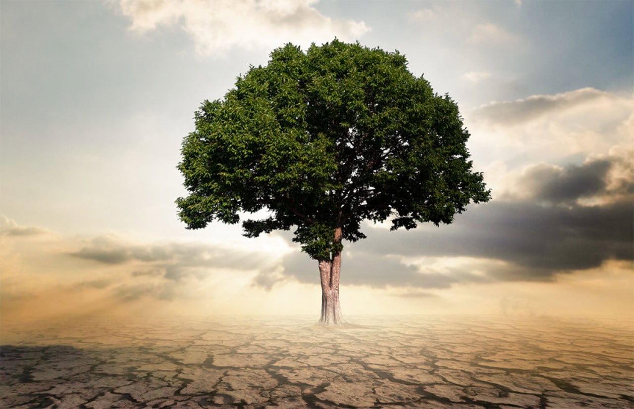 Leading Authentically and Courageously