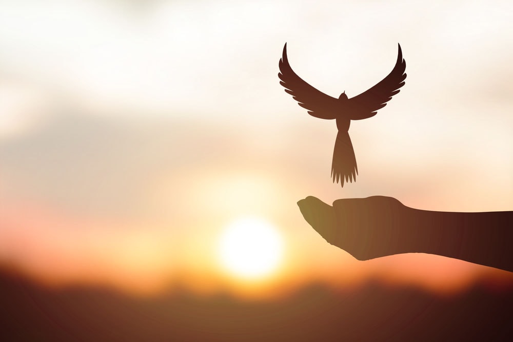 Presentation of Spiritual Truth